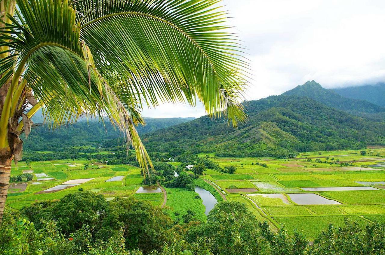 Waipouli Beach Resort Beautiful Luxury Ground Level Garden View Ac Pool! Kapa'a Buitenkant foto