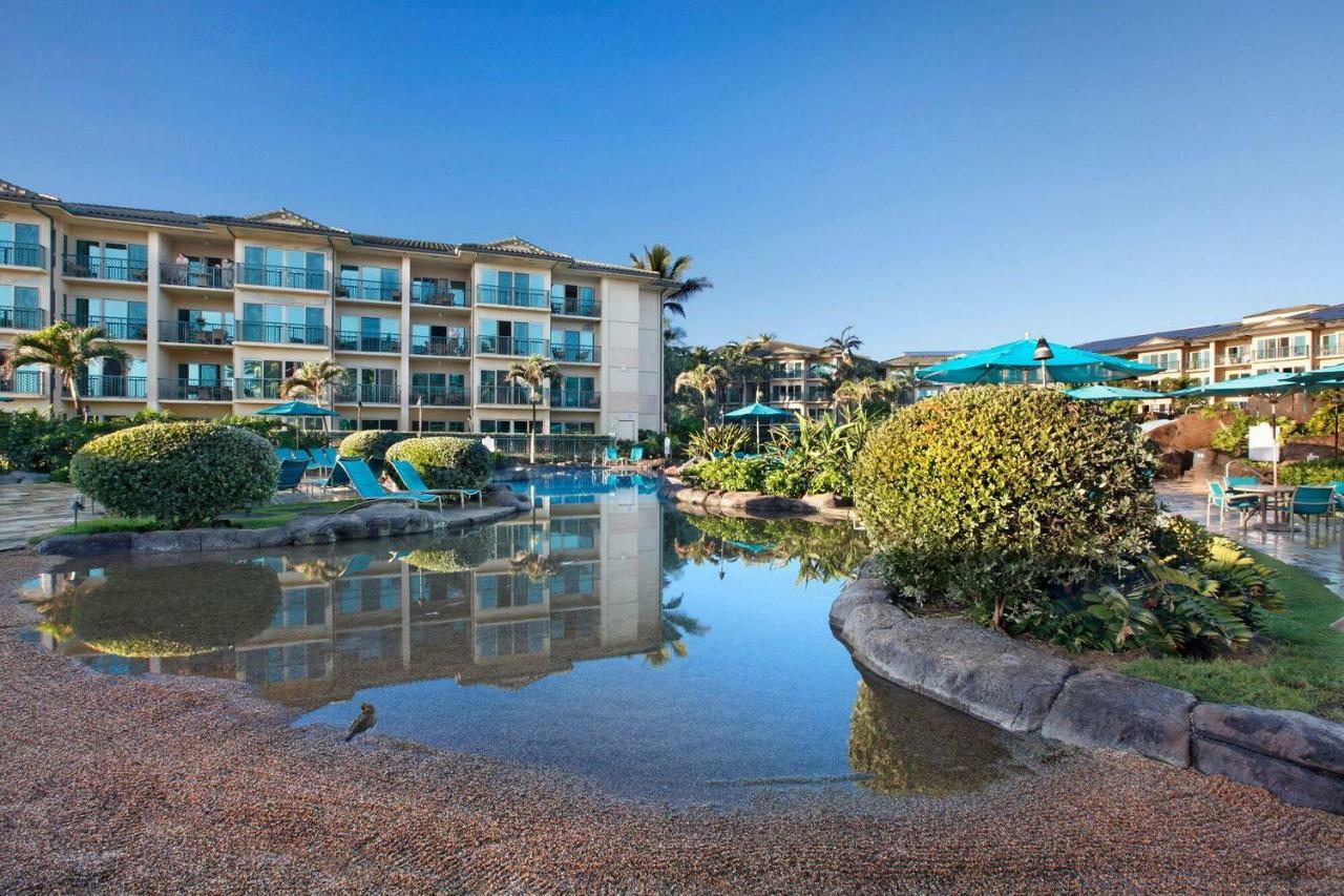 Waipouli Beach Resort Beautiful Luxury Ground Level Garden View Ac Pool! Kapa'a Buitenkant foto